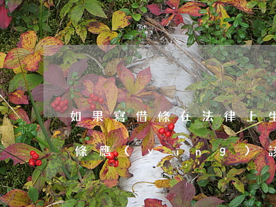 如果寫借條在法律上生效(具有法律效力的借條應(yīng)該怎么寫)