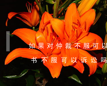 如果对仲裁不服可以提起诉讼吗(对仲裁裁决书不服可以诉讼吗)
