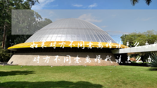 如果对方不同意离婚该怎么办(我想离婚但是对方不同意离婚我该怎么办)