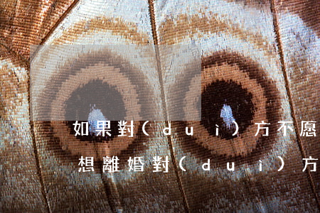 如果對(duì)方不愿意離婚怎么辦(如果想離婚,對(duì)方不同意怎么辦?)