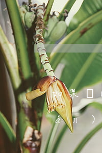 如果對(duì)方不肯放棄繼承權(quán)怎么辦(繼承可以放棄嗎)