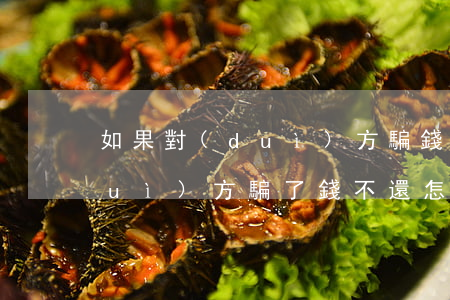 如果對(duì)方騙錢不還怎么辦(對(duì)方騙了錢不還怎么辦)