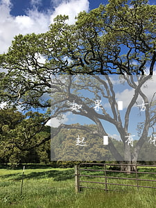 如果對方保險不過戶我可以起訴對方嗎(對方起訴有保險還用去嗎)