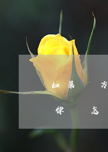 如果對方起訴我我沒請律師怎么辦(起訴沒有律師怎么辦)