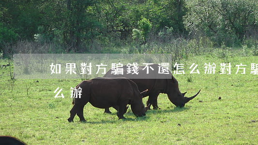 如果對方騙錢不還怎么辦(對方騙了錢不還怎么辦)