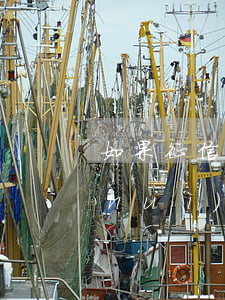 如果征信有逾期征信報(bào)告上會(huì)有嗎-如果征信有逾期征信報(bào)告上會(huì)有嗎怎么顯示