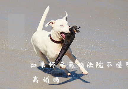 如果怀孕离婚法院不懂可以吗(婚姻法怀孕能离婚吗)