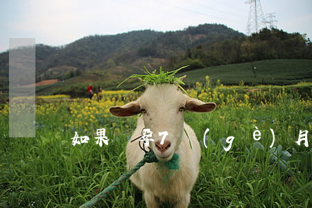 如果懷孕7個(gè)月離婚