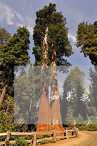 如果我去法院起訴她的話可以嗎(法院會(huì)不會(huì)打電話來說我被起訴了)