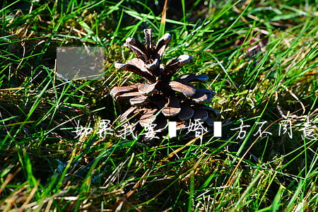如果我要離婚對方不同意怎么辦