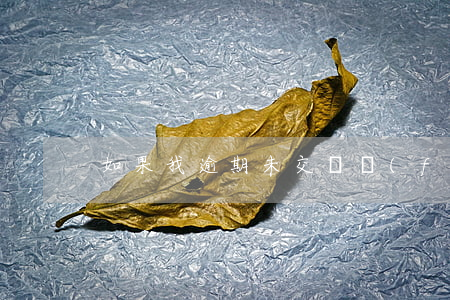 如果我逾期未交電費(fèi)