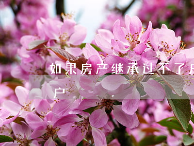 如果房产继承过不了户怎么办理(房产继承过户)