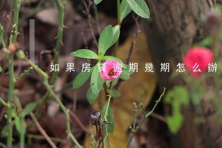 如果房貸逾期幾期怎么辦(房貸逾期幾個小時)