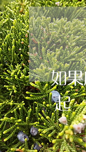 如果房貸逾期被起訴了如何處理(房貸逾期被起訴法院會(huì)怎么判)