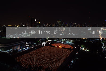 如果打官司無力償還(如果打官司無力償還怎么處理)