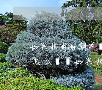 如果招商逾期半個(gè)月會(huì)怎么樣嗎（如果招商逾期半個(gè)月會(huì)怎么樣）