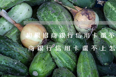 如果招商銀行信用卡還不上怎么辦-如果招商銀行信用卡還不上怎么辦呢