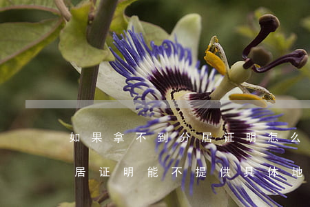 如果拿不到分居证明怎么判离婚(离婚提供分居证明能不提供具体地址吗?)