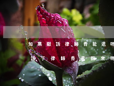 如果撤訴律師費能退嗎(交了律師費用,但是撤訴了,律師費退回來嗎)