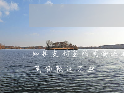 如果支付宝网商贷还不起了怎么办（支付宝网商贷款还不起）