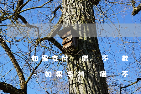 如果支付寶借唄不還款會(huì)怎么樣-如果支付寶借唄不還款會(huì)怎么樣嗎