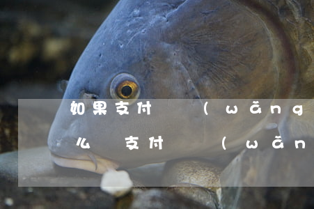 如果支付寶網(wǎng)商貸還不起了怎么辦（支付寶網(wǎng)商貸款還不起）