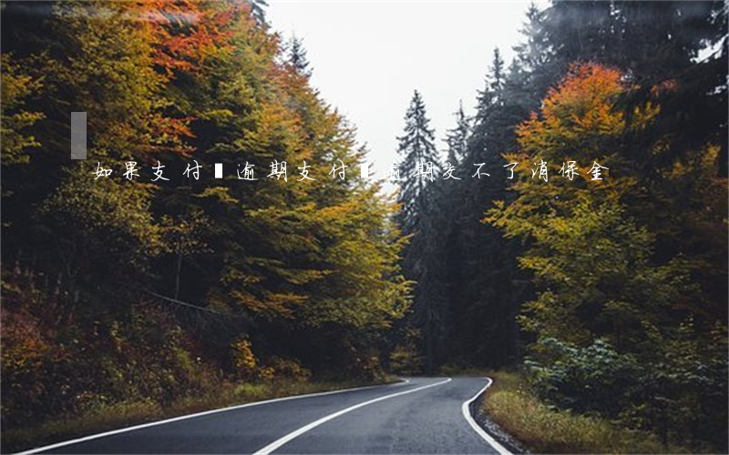 如果支付寶逾期（支付寶逾期交不了消保金）