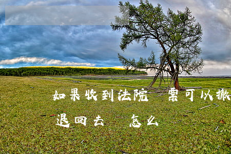 如果收到法院傳票可以撤折嗎(如果法院傳票退回去該怎么辦)