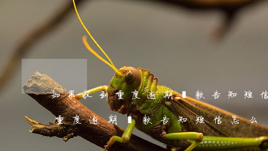 如果收到重度逾期還款告知短信-如果收到重度逾期還款告知短信怎么辦