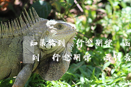 如果收到銀行逾期律師函代表什么-如果收到銀行逾期律師函代表什么意思