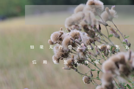 如果无力偿还信用卡怎么办-如果无力偿还信用卡怎么办呢