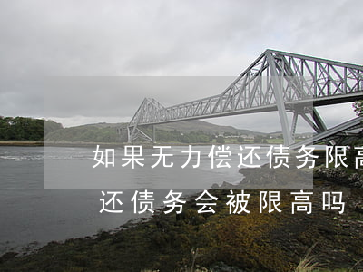 如果无力偿还债务限高是一辈子吗-无力偿还债务会被限高吗