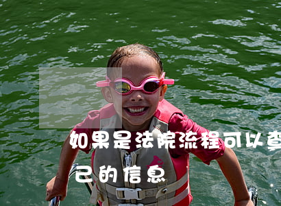 如果是法院流程可以查到嗎(去法院可以查自己的信息嗎)
