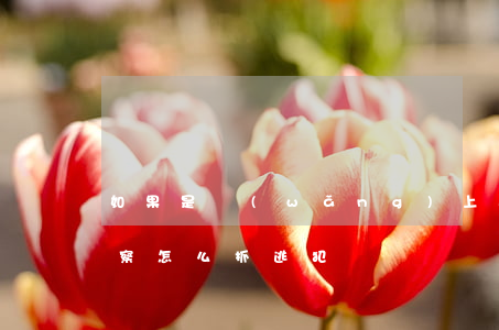 如果是網(wǎng)上通緝犯要怎么抓（警察怎么抓逃犯）