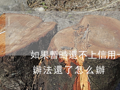 如果暫時還不上信用卡怎么辦?(信用卡實在沒辦法還了怎么辦)