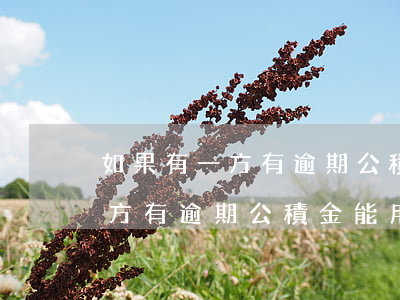 如果有一方有逾期公積金能用嗎-如果有一方有逾期公積金能用嗎怎么還款