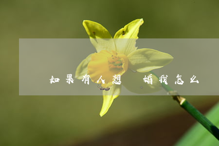 如果有人想離婚我怎么辦