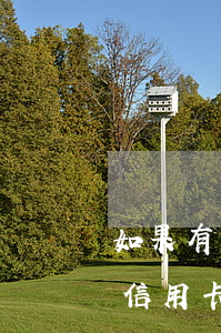 如果有信用卡逾期還能不能去其他銀行貸款（信用卡逾期其他銀行有錢）
