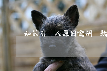 如果有個人原因逾期還款