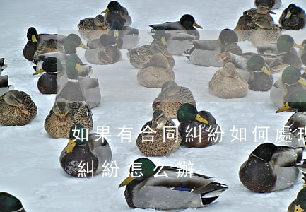 如果有合同糾紛如何處理(合同發(fā)生糾紛怎么辦)