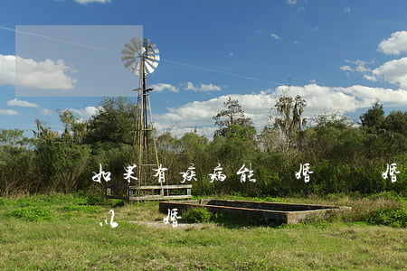 如果有疾病能離婚嗎(離婚一方有重大疾病可以離婚嗎)