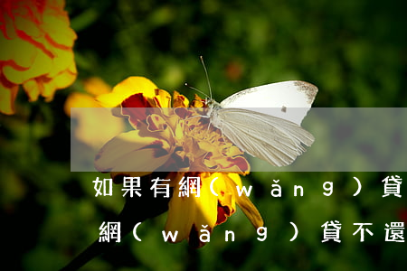 如果有網(wǎng)貸不還會怎么樣(要是網(wǎng)貸不還會怎么樣)