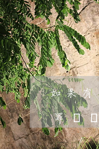 如果有違法記錄可以出國(guó)嗎(有犯罪記錄可以出國(guó)旅游嗎)