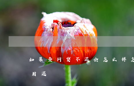 如果查网贷不还会怎么样(怎么查哪些网贷不用还)