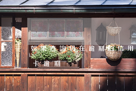 如果查詢仍在逾期的信用卡(怎么能查出信用卡逾期)