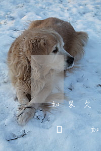 如果欠了十萬網(wǎng)貸還不起怎么辦-如果欠了十萬網(wǎng)貸還不起怎么辦呢