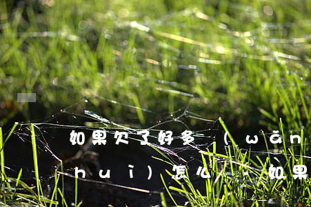 如果欠了好多網(wǎng)貸還不起會(huì)怎么樣-如果欠了好多網(wǎng)貸還不起會(huì)怎么樣呢