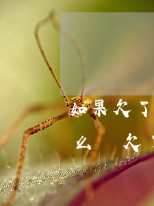 如果欠了網(wǎng)貸人卻去坐牢了怎么辦(欠了網(wǎng)貸會(huì)不會(huì)坐牢)