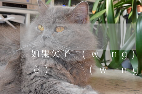 如果欠了網(wǎng)貸人死了這個(gè)錢還(網(wǎng)貸欠的錢人死了需要還嗎)