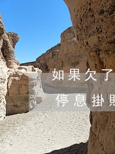 如果欠了網(wǎng)貸還不上怎么辦-停息掛賬公司怎么收費(fèi)